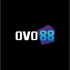 OVO88 - Aplikasi Terbaik untuk Berita Olahraga Bola